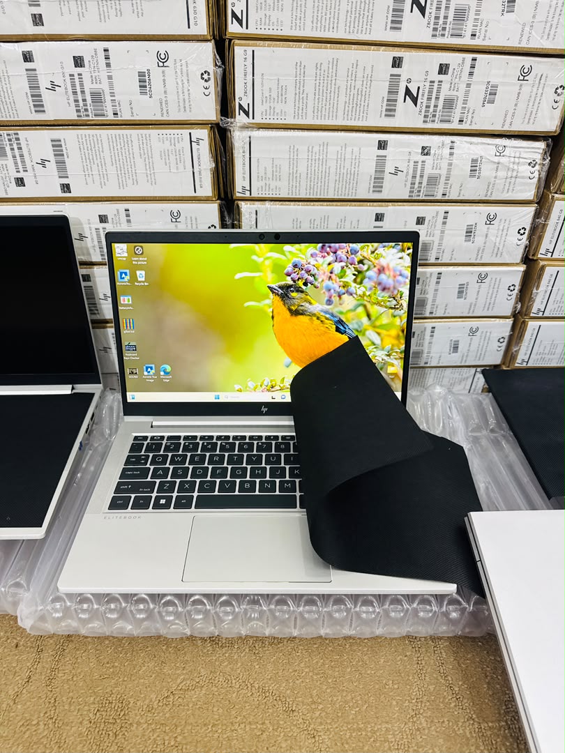 HP EliteBook 630 G10
